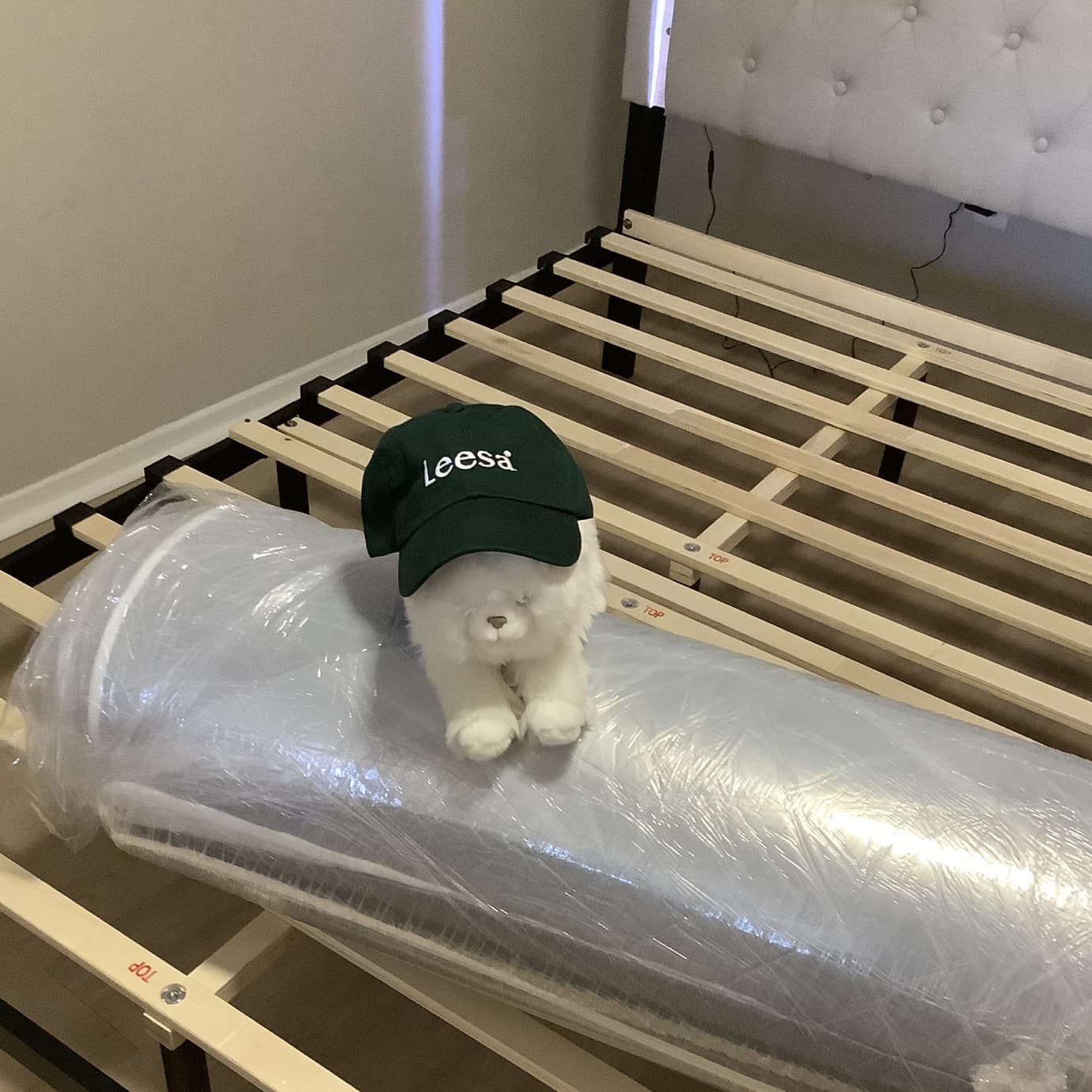 dwellwithdignity-carousel-image-3