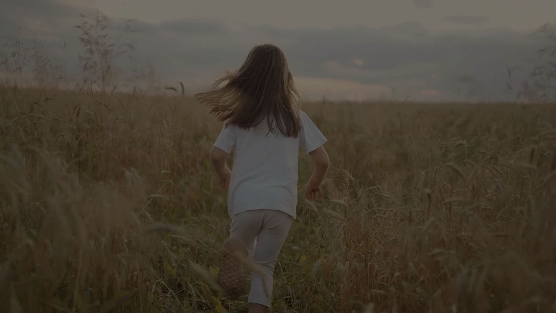 sustainability-still-header-1