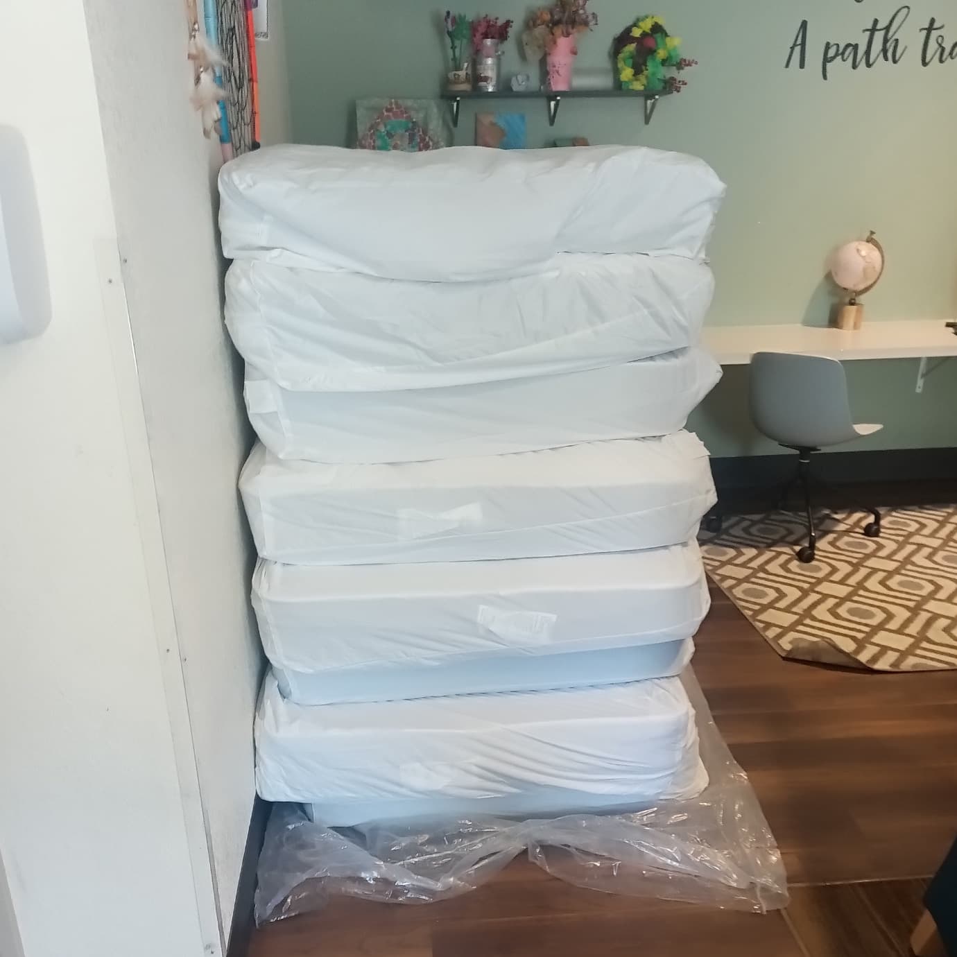 deloresproject-carousel-image-2